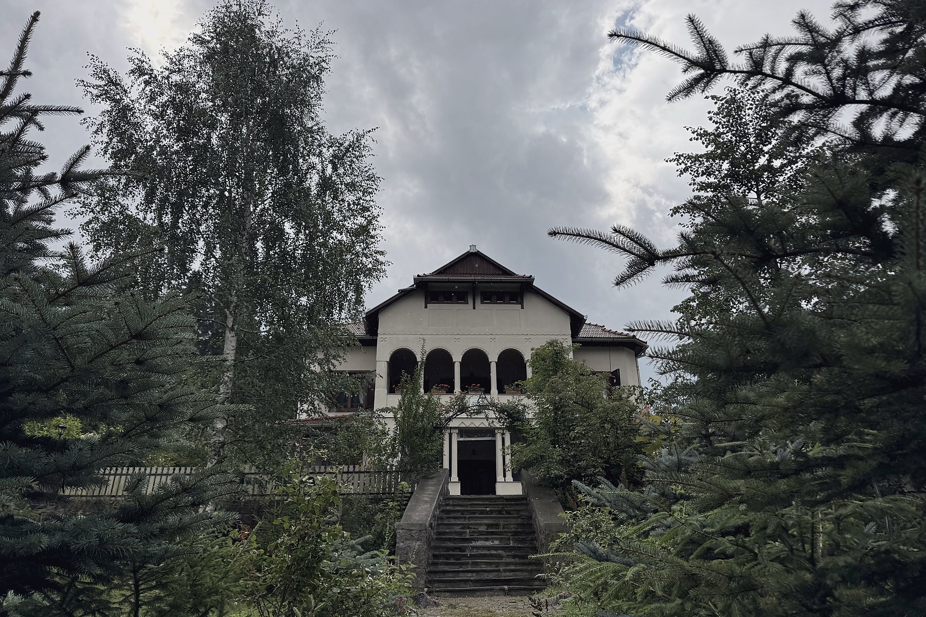 A villa a fenyők között